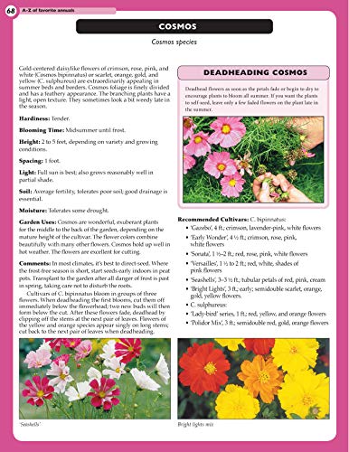 Fox Chapel Publishing 9781580118026 Home Gardener'S Annuals: The Complete Guide To Growing 37 Flowers In Your Backyard thumb #6