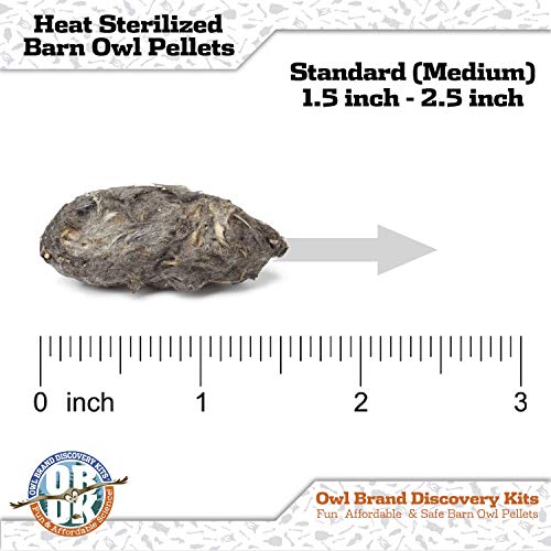 OBDK Barn Owl Pellets for Dissection - 10 Pack Medium Sized (1.5