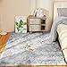 YOBATH Fluffy Shag Area Rugs 5x7 for Living Room Bedroom, Soft Fuzzy Shaggy Carpet Rugs for Girls Boys Kids Indoor Floor Nursery Home Decor, Light Grey