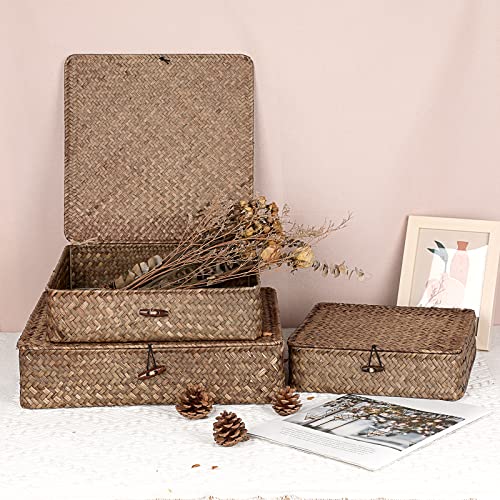 Image of Hipiwe Set of 3 Flat Wicker Basket Bins with Lid - Handwoven Seagrass Boxes