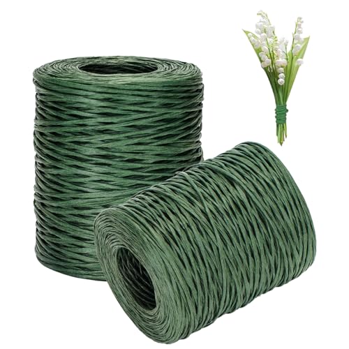 200m Papierdraht, Breit 2mm Papierseil für Kraftpapierverpackungen, Papierkordel Papierdraht zum Basteln Floristik, Weihnachten, Geschenk Dekoration und Heimwerken, Grüner