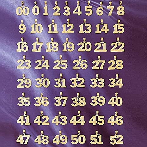 0 to 100 Any One 14K Yellow Gold Number Pendant/Charm, Made in USA2