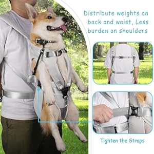 PetBonus-Pet-Front-Dog-Carrier-Backpacks-Adjustable-Dog-Backpack-Carrier-Legs-Out-Easy-fit-Dog-Chest-Carrier-for-Medium-Small-Dogs-Hands-Free-Dog-Front-Carrier-for-Hiking-Cycling-Grey-M - Cucciolini Doodles   PetBonus-Pet-Front-Dog-Carrier-Backpacks-Adjustable-Dog-Backpack-Carrier-Legs-Out-Easy-fit-Dog-Chest-Carrier-for-Medium-Small-Dogs-Hands-Free-Dog-Front-Carrier-for-Hiking-Cycling-Grey-M