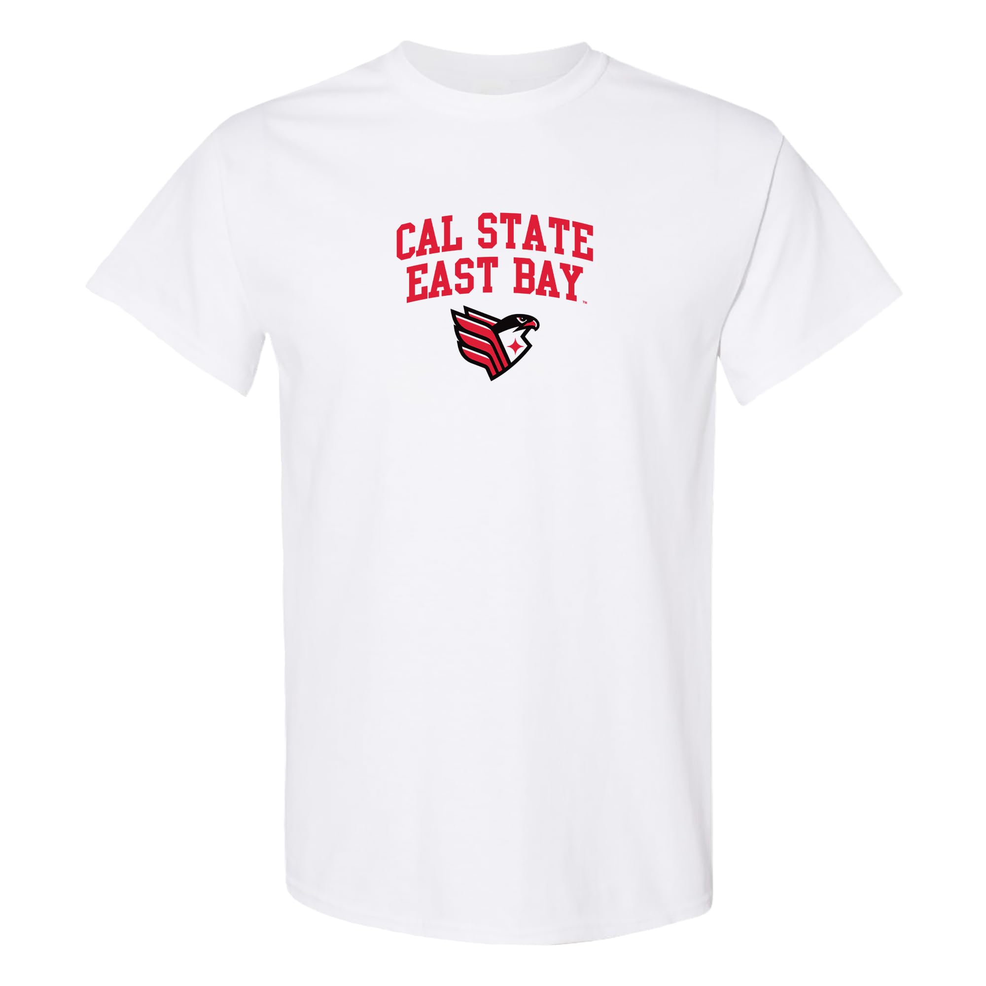 NCAA Arch Logo - NCAA Sports Team Color T Shirt — view 30