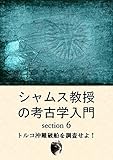 The World of Archaeology 6: introduced by Professor Shams: The Uluburun Shipwreck The World of Archaeology: introduced by Professor Shams (scientia est potentia) (Japanese Edition)