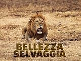  Bellezza Selvaggia