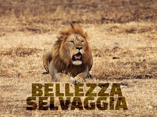  Bellezza Selvaggia