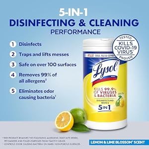 Lysol Disinfecting Wipes, Multi-Surface Cleaner, Lemon, 80 ct. (4 Pack) — photo 3 of 6