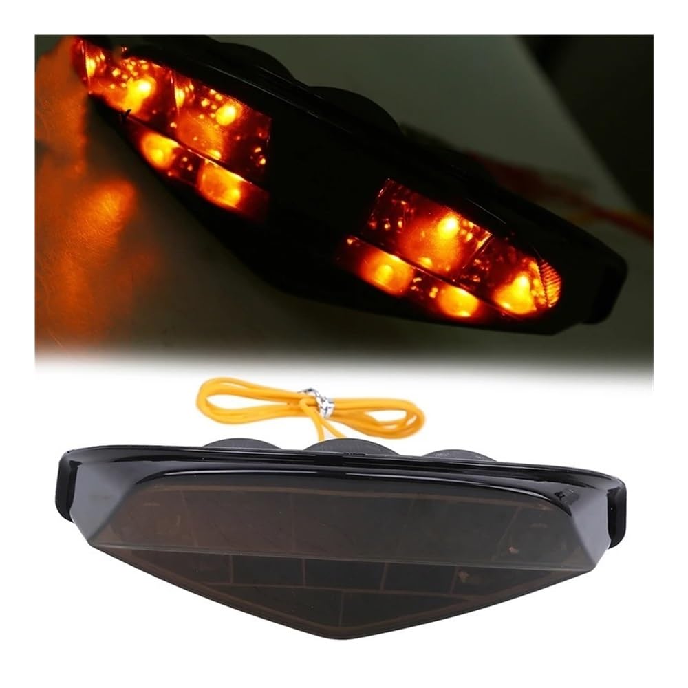 Fanale Stop Luce Posteriore Fanale posteriore per moto 12V LED Freno Indicatore di direzione Lampada Luci arresto motore Universale per per