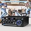 Romicta Stereo Audio HiFi Amplifier, 600W Bluetooth Amplifier 5.0, 2 Channels 12V/230V, LCD Display, SD/USB, FM Radio – Ideal for Home, Car & Karaoke #5