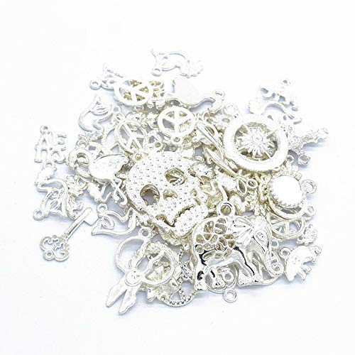 LINYONG Mixed Charms DIY Jewelry Making Pendant Fit Bracelet Necklace (Bright Silver)