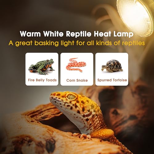 Image of Briignite Reptile Heat Bulb 2 Pack, 75W UVA Reptile Light Bulbs, Dimmable Heat Lamp Bulbs Basking Spot Light Bulb for Reptiles, Amphibian, Bearded Dragon, Lizard, Chicken