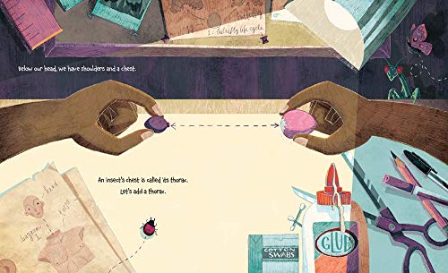 How to Build an Insect - Image 5