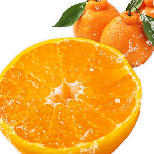 不知火 デコみかん (デコポン と同品種) ご家庭用 訳あり 熊本県産 (苓北町産含む)約1.2kg(3-6玉前後) 柑橘 [2026年2月上旬-3月末頃出荷] みかん フルーツ 不知火 訳アリ でこみかん 果物