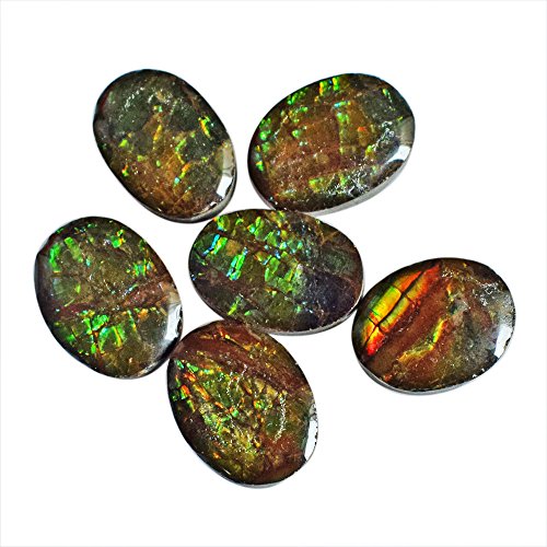 Ammolite de collection haut de gamme éclat rouge et vert précieux lot de 57 carats ovales