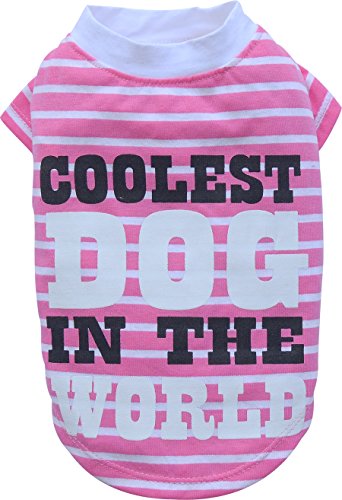 Doggy Dolly t281 Perro Hirt Coolest Dog, Rosa/Blanco Rayas