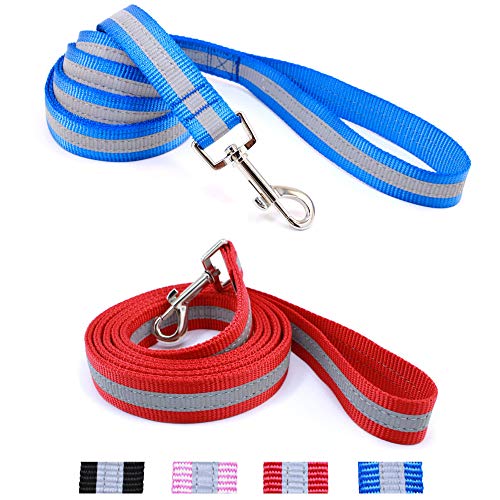 Da Boon Ultra Reflective Double-Sided Dog Leash (Blue)