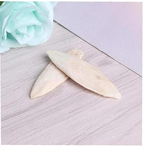 Parrot Essentials - Rotto Osso di Seppia per