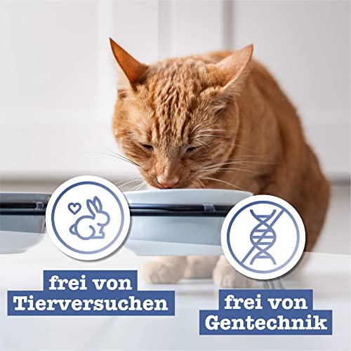 catz finefood N° 17 Geflügel & Garnele Feinkost Katzenfutter nass, verfeinert mit Karotte & Cranberry, 16 x 85g Beutel