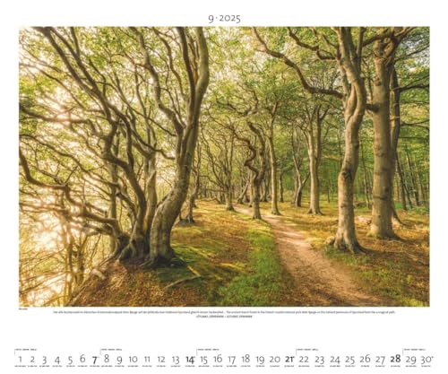 PALAZZI - Landschaft im Licht 2025 Wandkalender, 60x50cm, Posterkalender mit malerische Landschaftsfotografie, hochwertige Naturbilder, eine Reise ... int. Kalendarium: Light on the Land