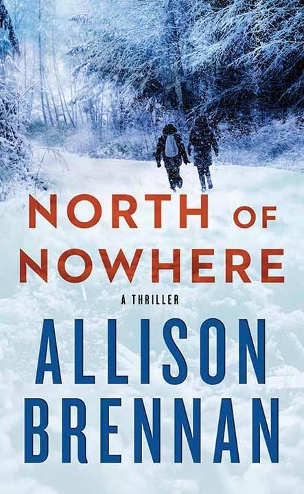 North of Nowhere (Platinum Mystery Series)      Library Binding – Large Print, January 1, 2025