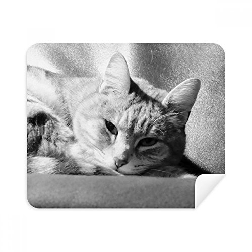 Nettoyage Écran et Lunettes sans Traces avec le Chiffon Suede Chat Gris DIYthinker 2Pcs