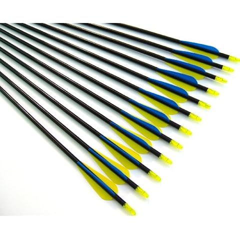 Shiny Black 30" Premium Fiberglass Target Practice Arrows with Replaceable Screw-in Tips (1 Dozen) Cover