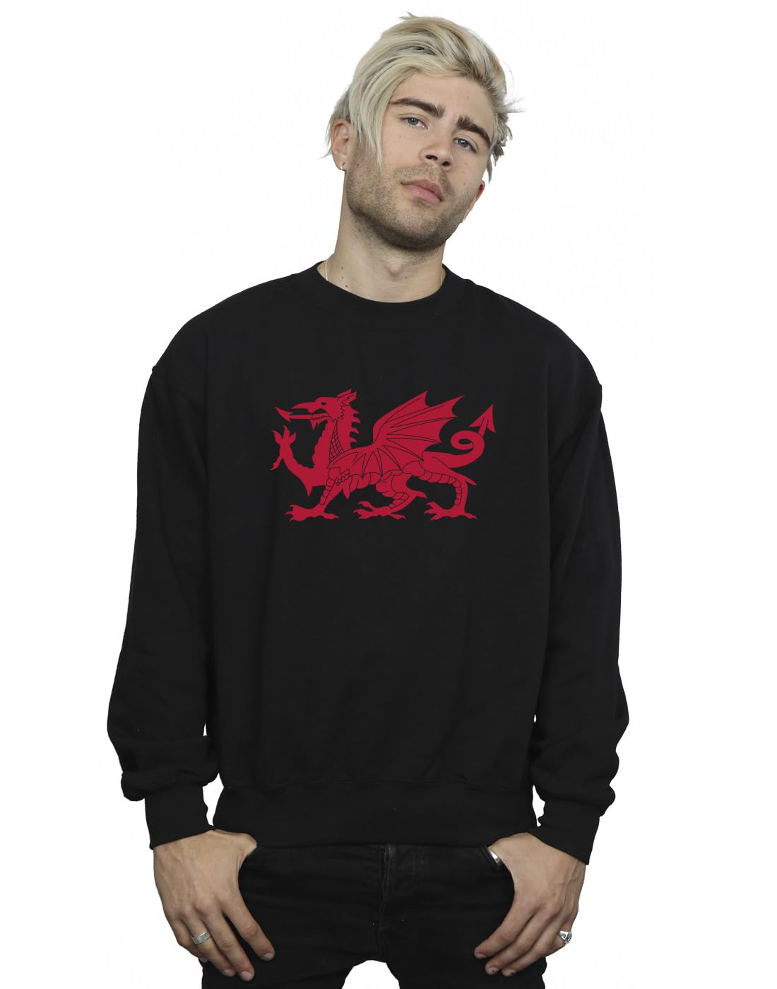 Absolute Cult St David's Day Men's Welsh Dragon Sweatshirt Black XXXX-Large