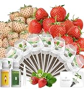 Small manufacture image 7