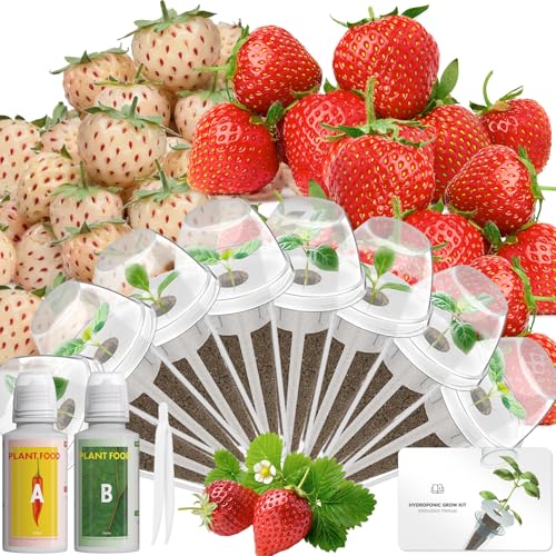 LYKOCLEAN Hydroponic Seed Pod Kit Compatible with AeroGarden Ahopegarden iDoo MUFGA 8 Pods Complete Growing Anything Garden Supply with Strawberry Seeds Grow Sponges Baskets Domes Labels