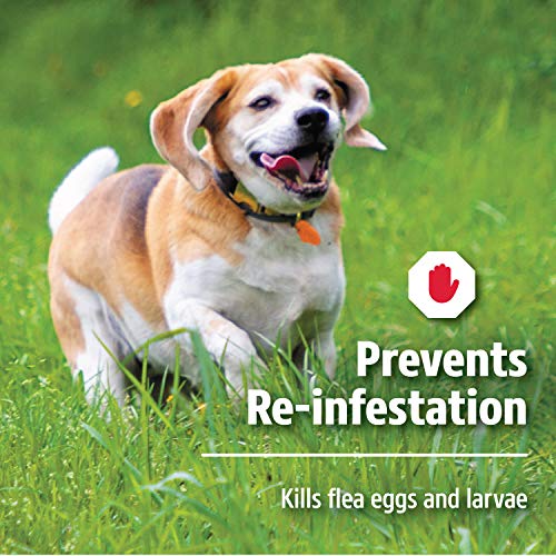 Hartz UltraGuard Dual Action Topical Flea & Tick Treatment for Dogs and Puppies - 15-30lbs, 3 Monthly Treatments - Image 6
