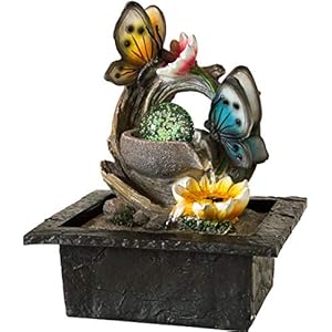 Nativ Kamerfontein met vlinder