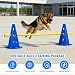 Imagen de MeYuxg Agility Set Perros