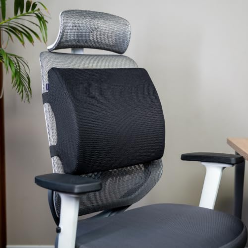 Image of WELLGIVER Lumbar Support | Memory Foam Back Support, Orthopedic Lumbar Support Back Rest for Back Pain Relief - Back Pillow for Sitting | Standard | Black Mesh