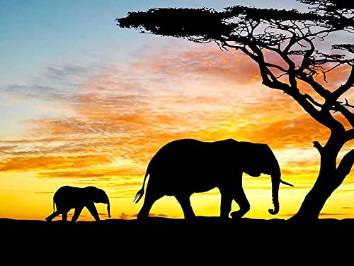 Hoobee DIY 5D Diamond Painting Kit Completo Drill