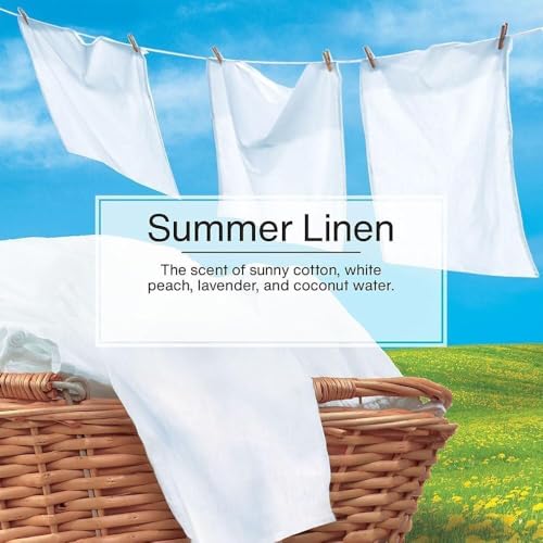 Image of LITTLE TREES Car Air Freshener | Hanging Paper Tree for Home or Car | Summer Linen