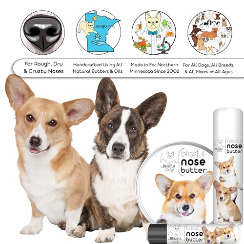 Image of The Blissful Dog Corgi Unscented Nose Butter, 8-Ounce