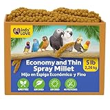 Birds LOVE Economy - 5 LBS Special Spray Millet – GMO-Free, No Stems (Edible Tops Only) – Healthy Treat for Cockatiels, Lovebirds, Parakeets, Finches & Canaries