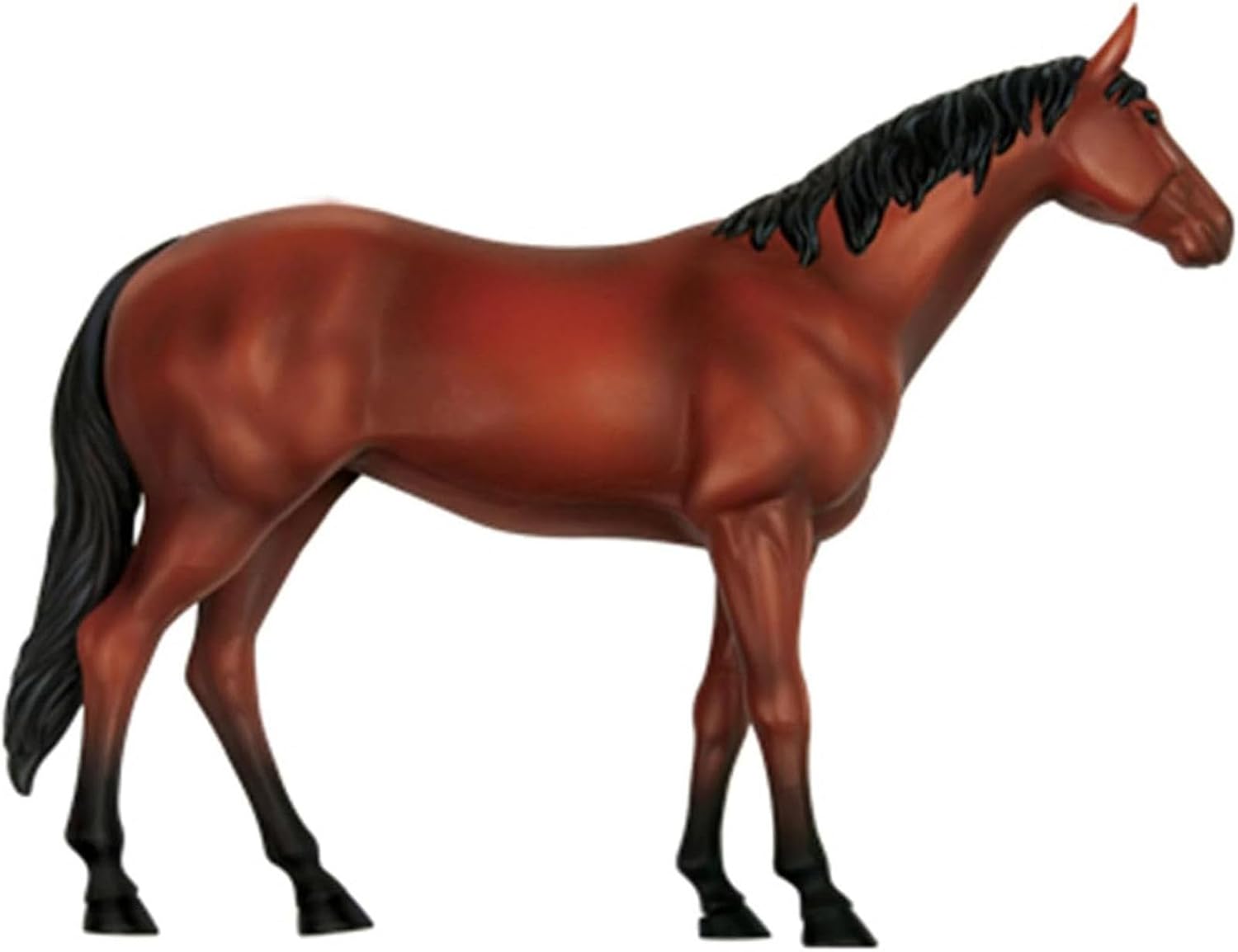 4D Vision Horse Anatomy Model - Teaching Aids Simulation Animal Horse Detailed Animal Organ Model for Medical Teaching and Learning