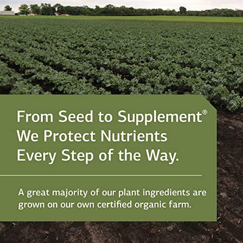 Standard-Process-Zypan-Whole-Food-Digestion-and-Digestive-Health-with-Pepsin-Betaine-Hydrochloride-Betaine-HCl-and-Pancreatin-Gluten-Free-330-Tablets