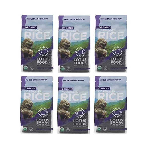 Lotus Foods Bulk Organic Forbidden Black Rice – Gluten-Free, Gourmet & Certified Organic Heirloom Whole Grain Rice, 0.94 pound (Pack of
