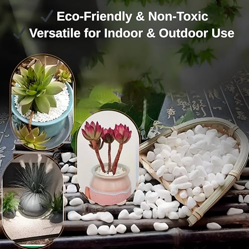 صخور نهرية طبيعية بيضاء بوزن 2.5 باوند من ارابيكو، احجار زينة 1-2 انش للنباتات والمناظر الطبيعية للحدائق والمزهريات وحوض السمك والحرف اليدوية وديكور المنزل، حصى بيضاء ناعمة للاستخدام الداخلي والخارجي
