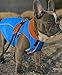 Gooby - Sports Vest, Fleece Lined Small Dog Cold Weather Jacket Coat Sweater with Reflective Lining, Blue, Large