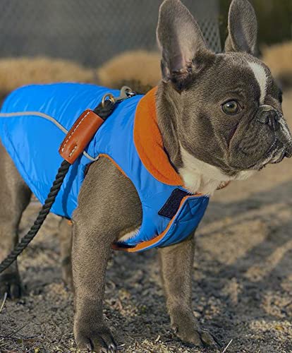 Image of Gooby Sports Vest Dog Jacket, Blue, Medium | Fleece-lined, water-resistant outer; 3-point hook-and-loop fit; Reflective lining; Leash attachment