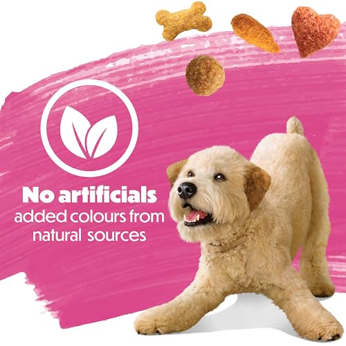 Beneful Originals Dry Dog Food, Real Salmon - 12.7 kg Bag image 2