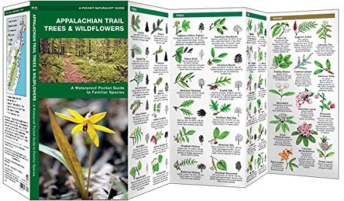 Appalachian Scenic Trail Trees & Wildflowers: A Pocket Guide to Familiar Species (Nature Observation North America) - Image 2