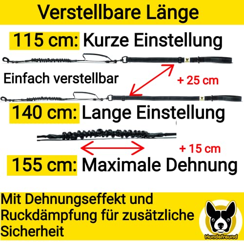 Hundefreund Auto Hundeleine mit Hundegurt 115-155 cm - Verstellbare Leine mit Sicherheitsgurt für Hunde - Griffpolster, Reflektierend mit Ruckdämpfer – Autoleine Schwarz für alle Hunderassen und Autos