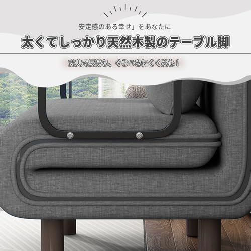 折り畳みソファーベッド5段調節シートアームレストリクライニングチェアふわふわクッション付き [並行輸入品] [5]
