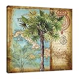 Jaxson Rea "Antique Palm Tree II Gallery Wrapped Canvas by Tre Sorelle Studios, 12" x 12"