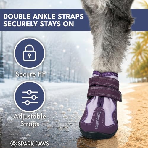 Image of Spark Paws 365 Dog Shoes - All-Weather Paw Protection | Winter Snow Boots & Summer Hot Pavement Booties for Dogs | All-Terrain, Water-Resistant, Purple - Size 7